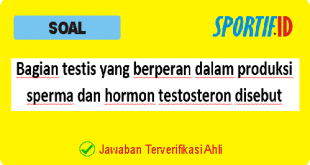 Bagian testis yang berperan dalam produksi sperma dan hormon testosteron disebut tubulus seminiferous